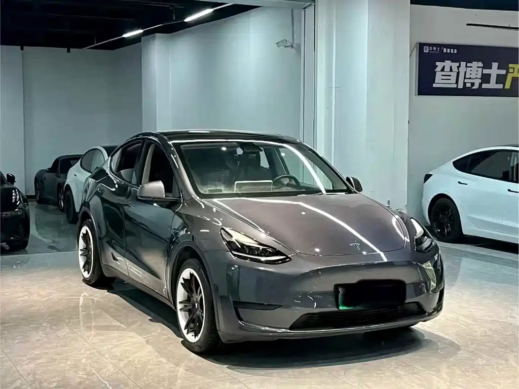 Tesla Model Y — миниатюра 3