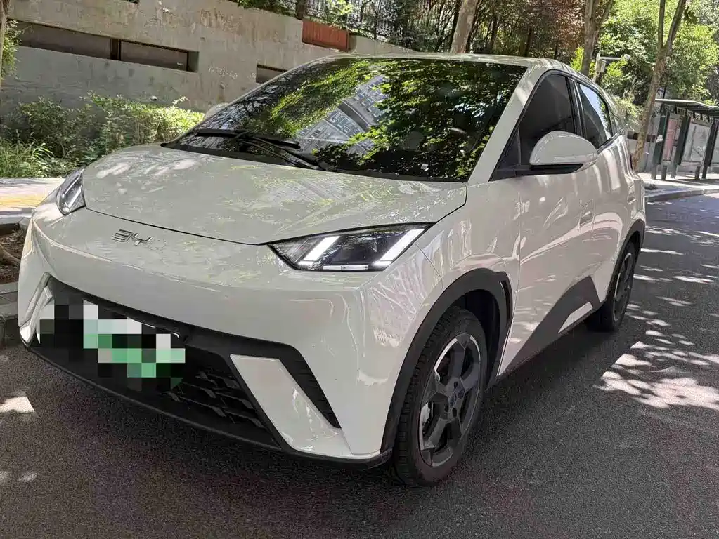 BYD Seagull 2023 Freedom