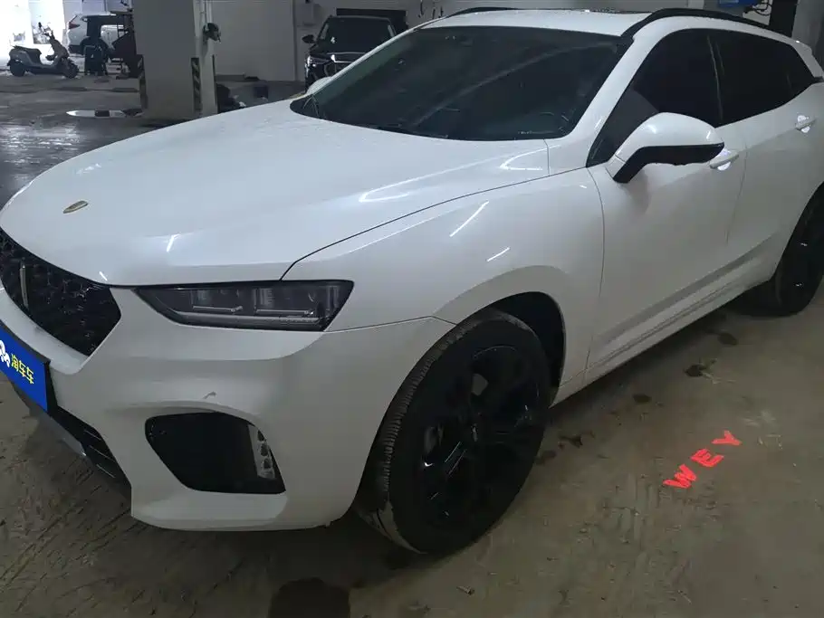 WEI PAI WEI BRAND VV7