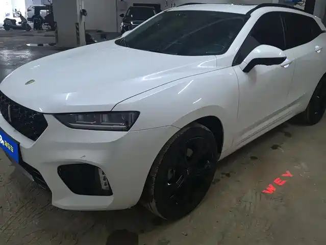 WEI PAI WEI BRAND VV7 2018