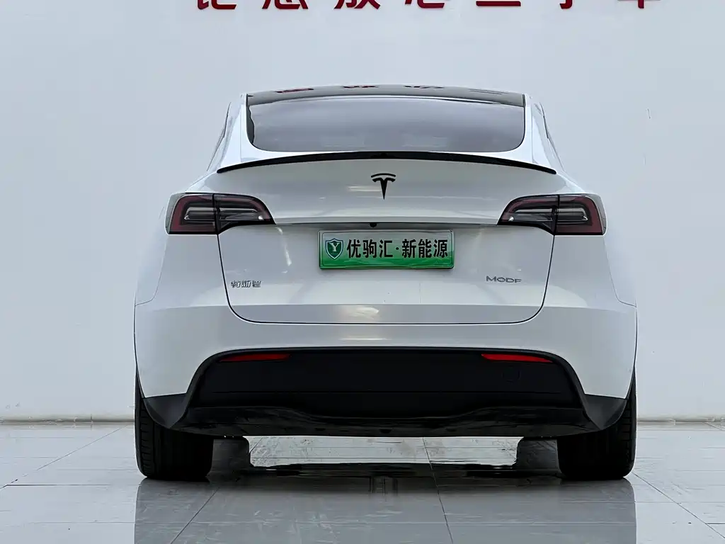 Tesla Model Y — миниатюра 6