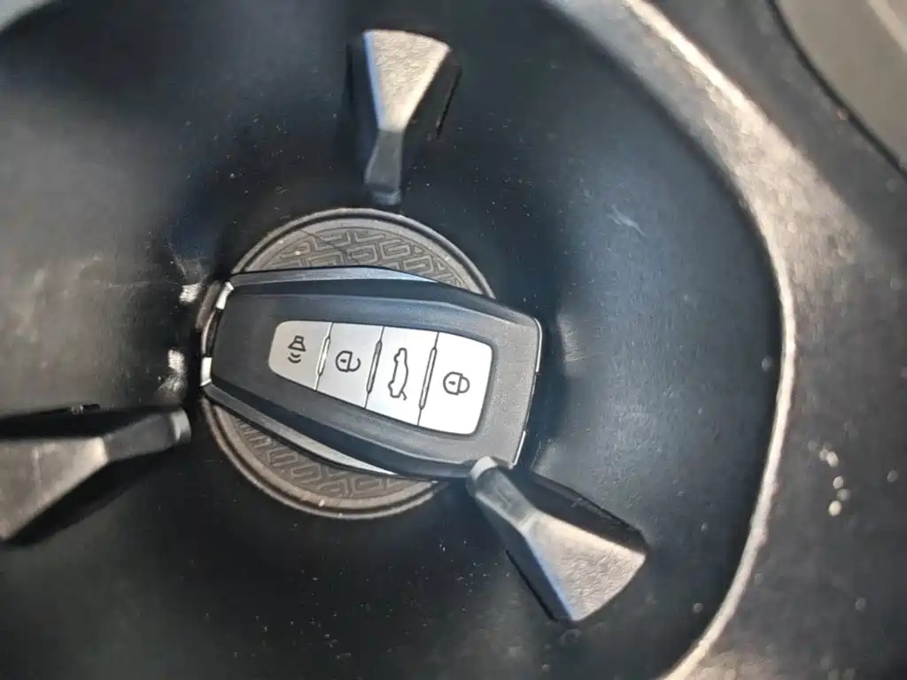 Rayleigh Maple 80v PRO — миниатюра 9