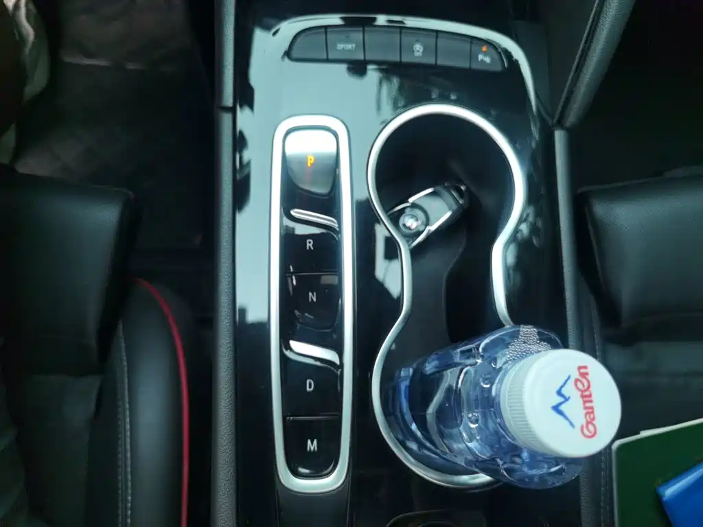 Buick Regal — миниатюра 15