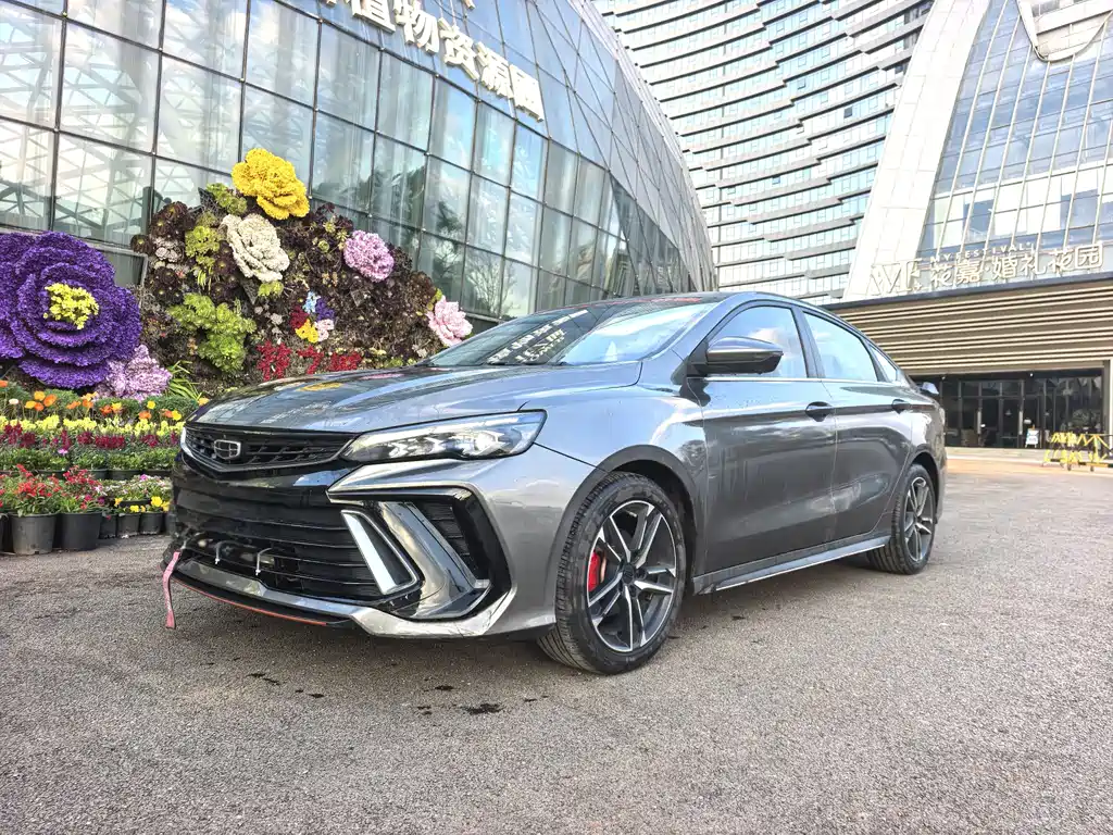 GEELY AUTOMOBILE BINRUI