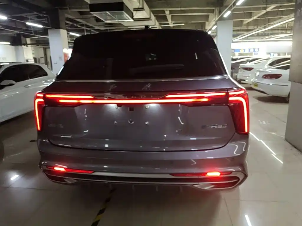 Hongqi Hongqi E-HS9 — миниатюра 6