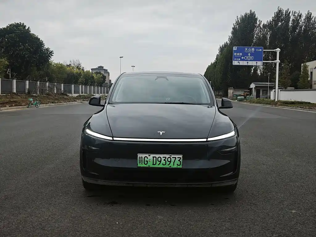 Tesla Model Y — миниатюра 2