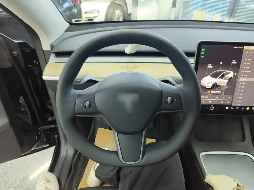 Tesla Model Y — миниатюра 11