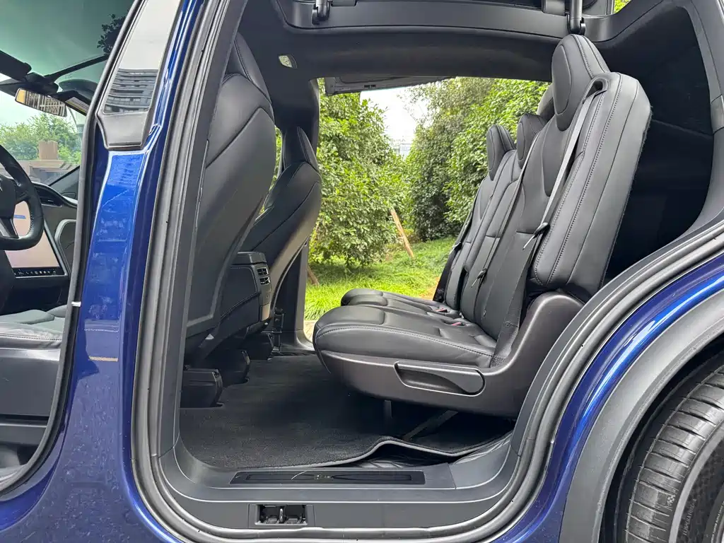 Tesla Model X — миниатюра 12