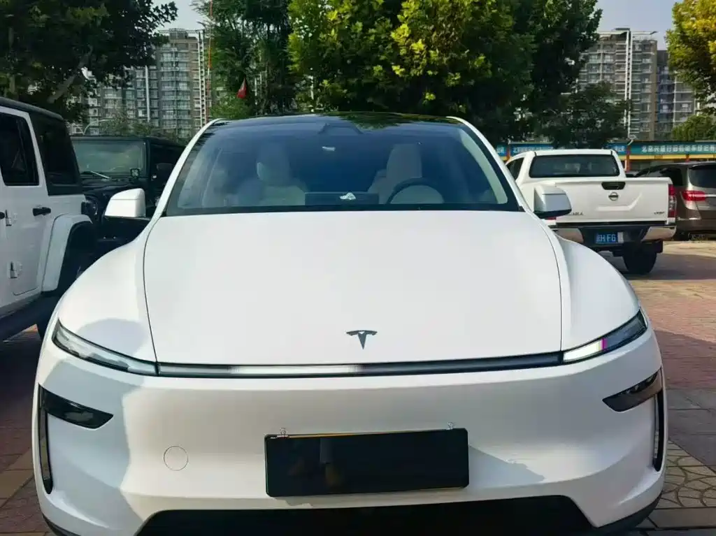 Tesla Model Y — миниатюра 2