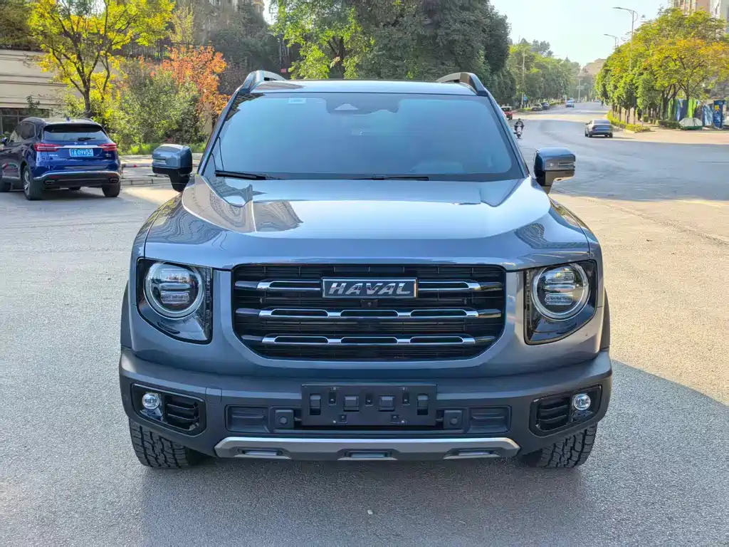 HAVAL BIG DOG