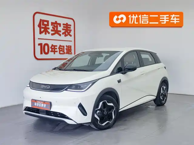 BYD DOLPHIN 2025