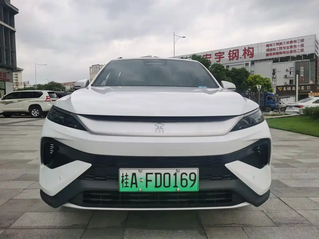 BYD Pro New Energy — миниатюра 2