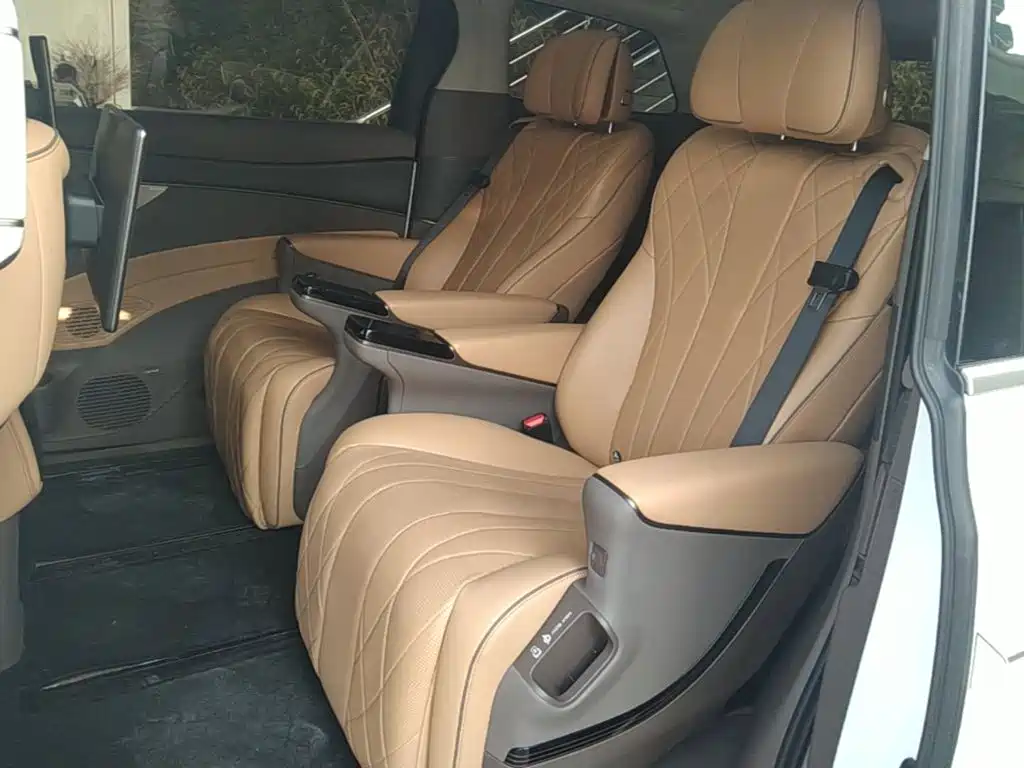 Denza Denza D9 — миниатюра 17