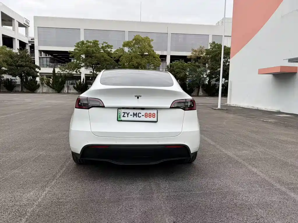 Tesla Model Y — миниатюра 12