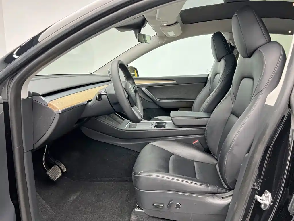 Tesla Model Y — миниатюра 15
