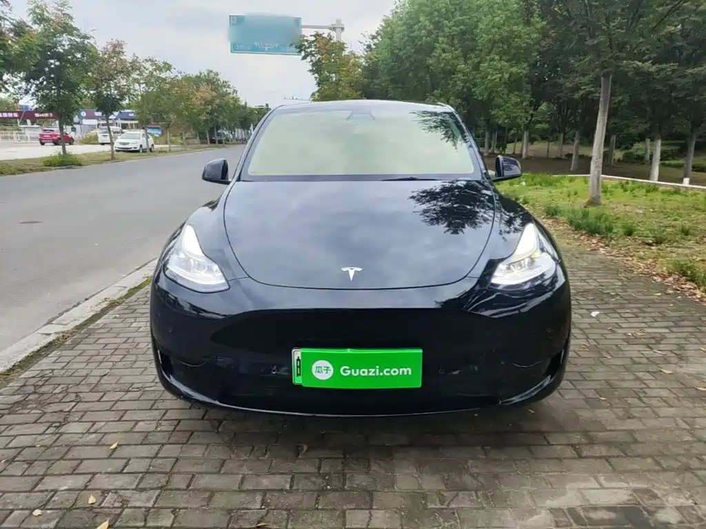 Tesla Model Y — миниатюра 3