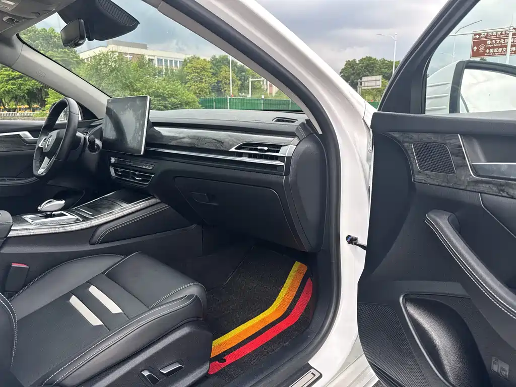 BYD Qin Pro NEV - фото 19