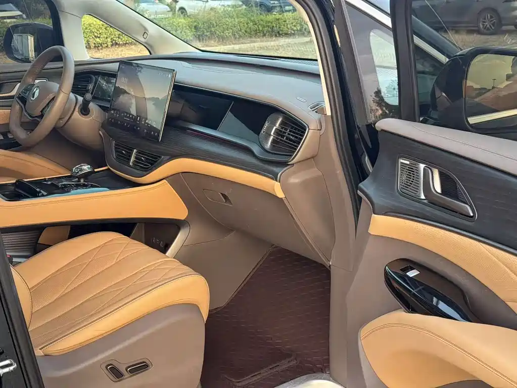 Denza Denza D9 — миниатюра 19