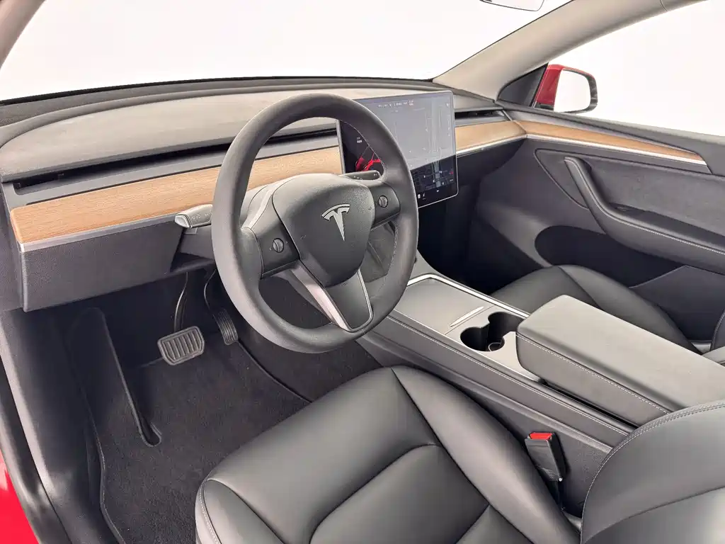 Tesla Model Y — миниатюра 9