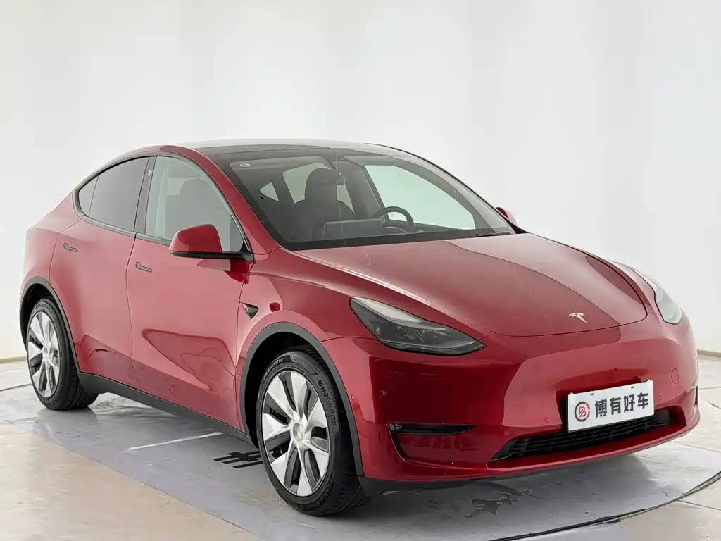 Tesla Model Y — миниатюра 3