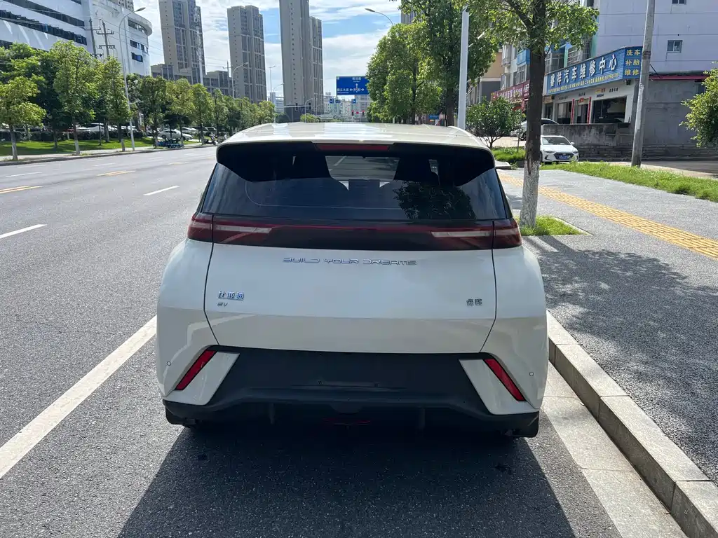 BYD Seagull