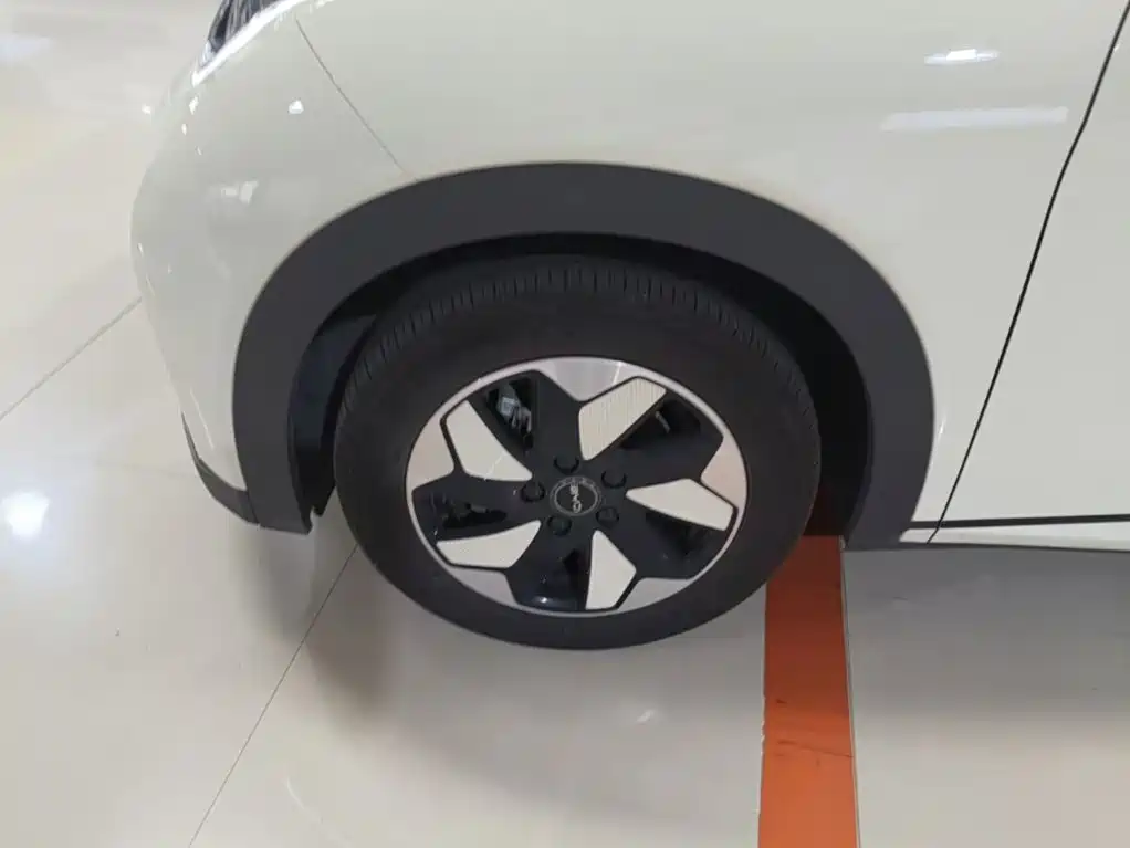 BYD Dolphin — миниатюра 23