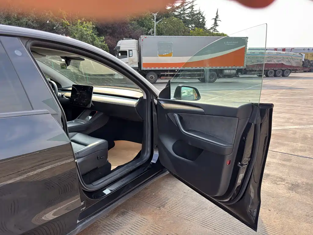 Tesla Model Y — миниатюра 24