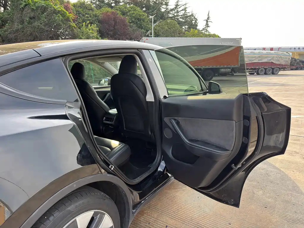 Tesla Model Y — миниатюра 25