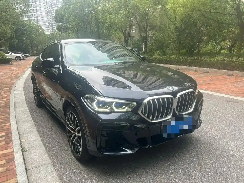 BMW  X6