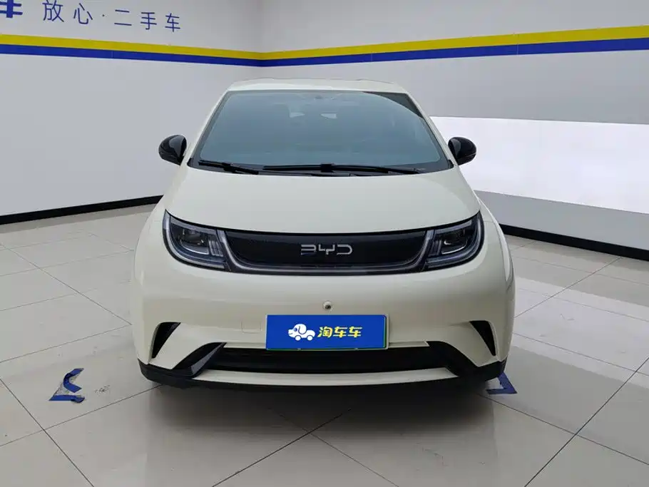 BYD Dolphin — миниатюра 2