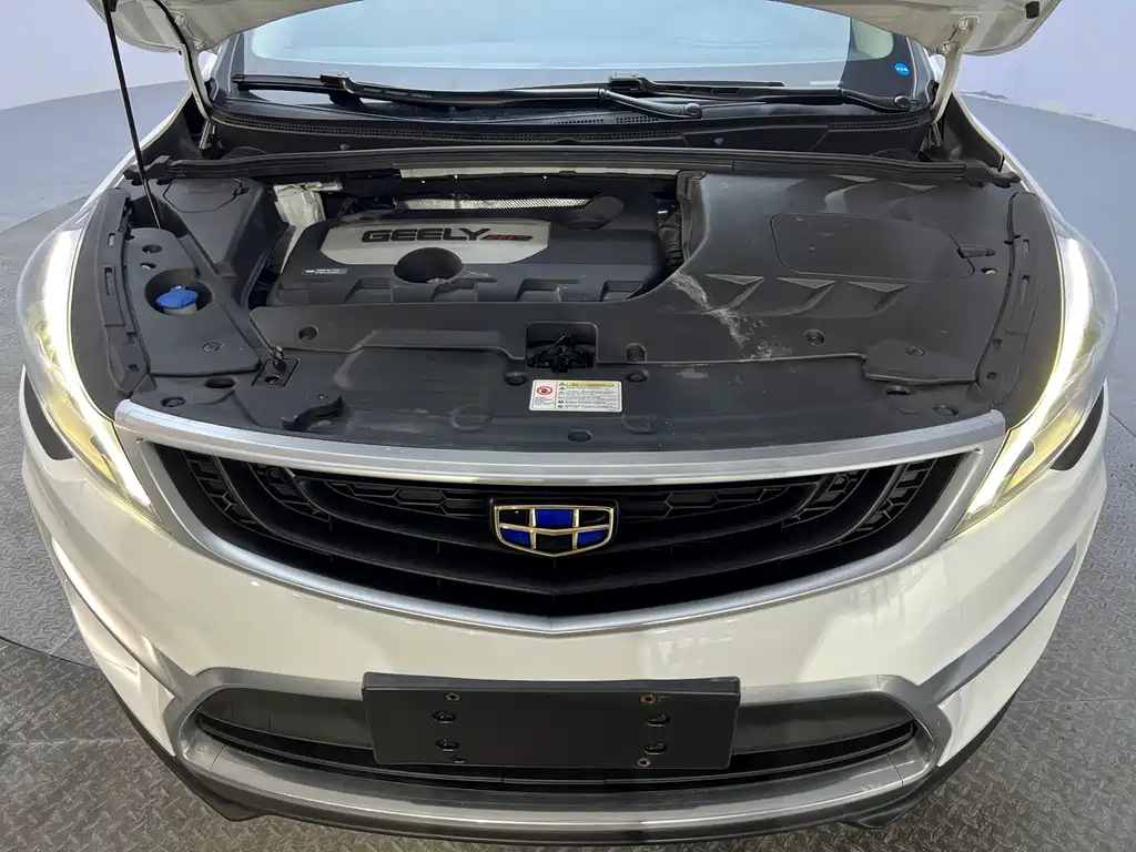 Geely Emgrand GS — миниатюра 20