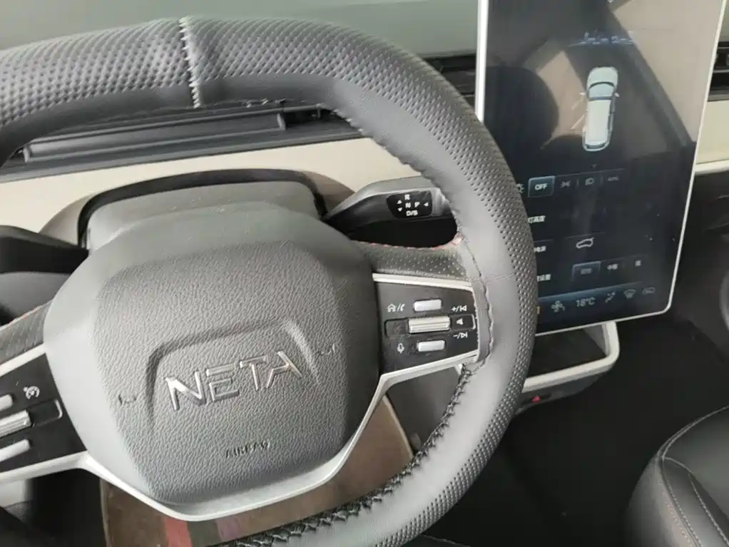 Neta Neta V — миниатюра 14