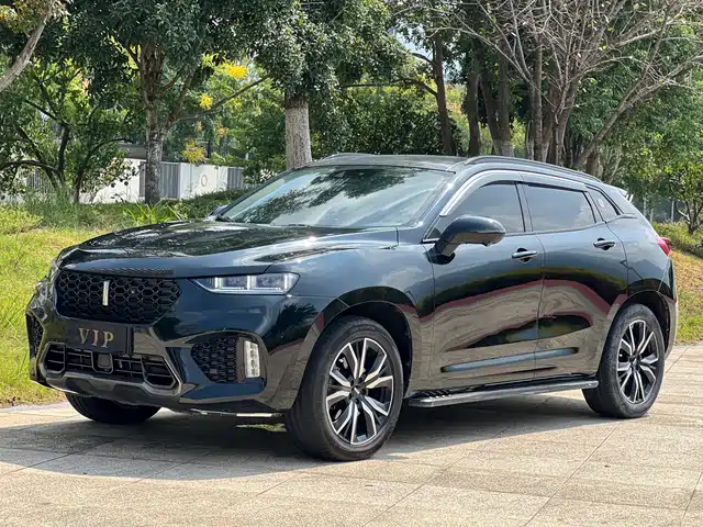 WEI PAI WEI BRAND VV7 2019