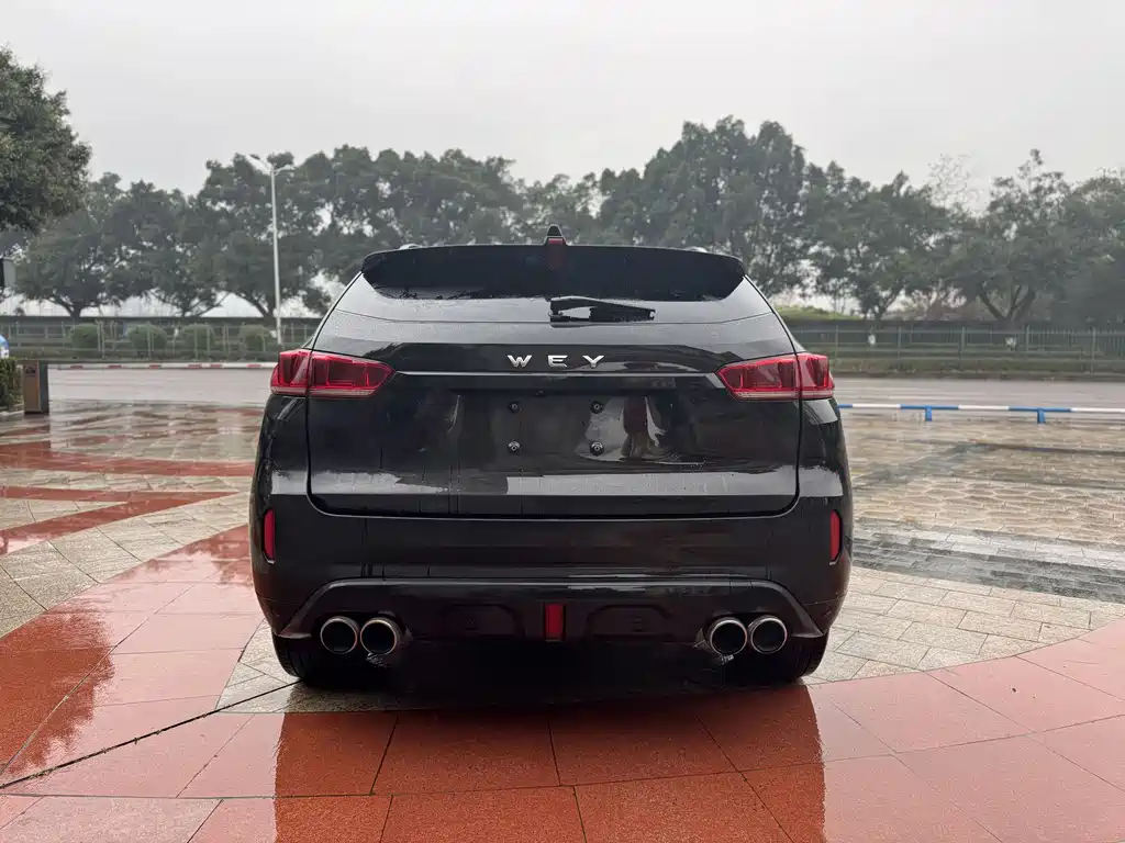 WEI PAI WEI BRAND VV7