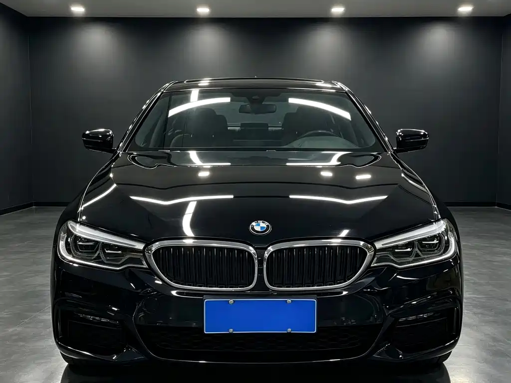 BMW 5 Series — миниатюра 2