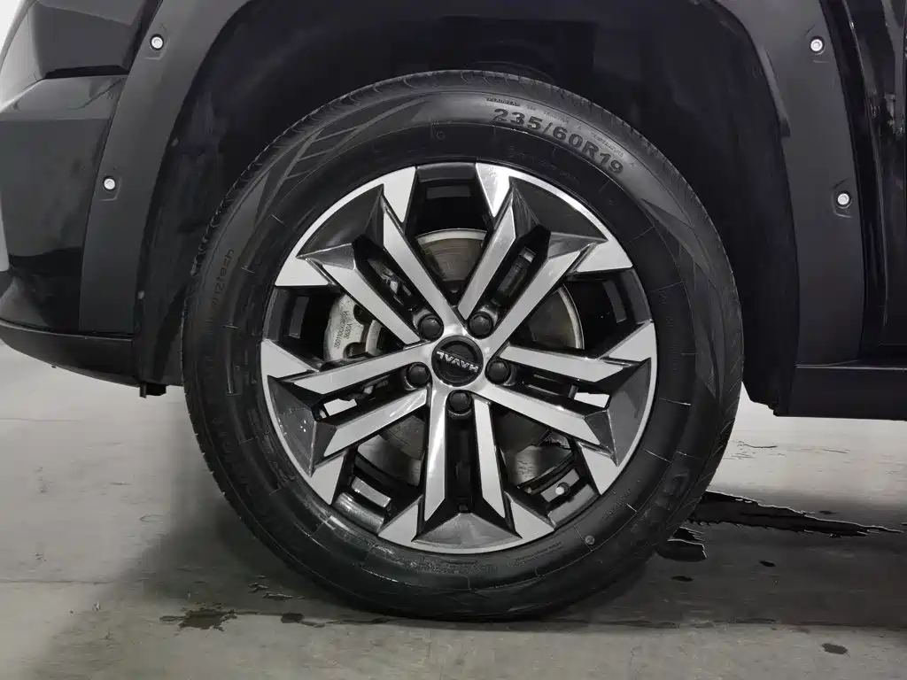 Haval Big Dog PLUS — миниатюра 17