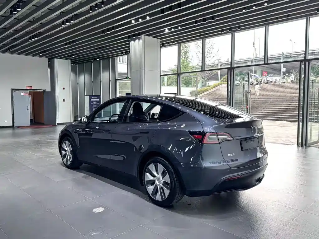 Tesla Model Y — миниатюра 8