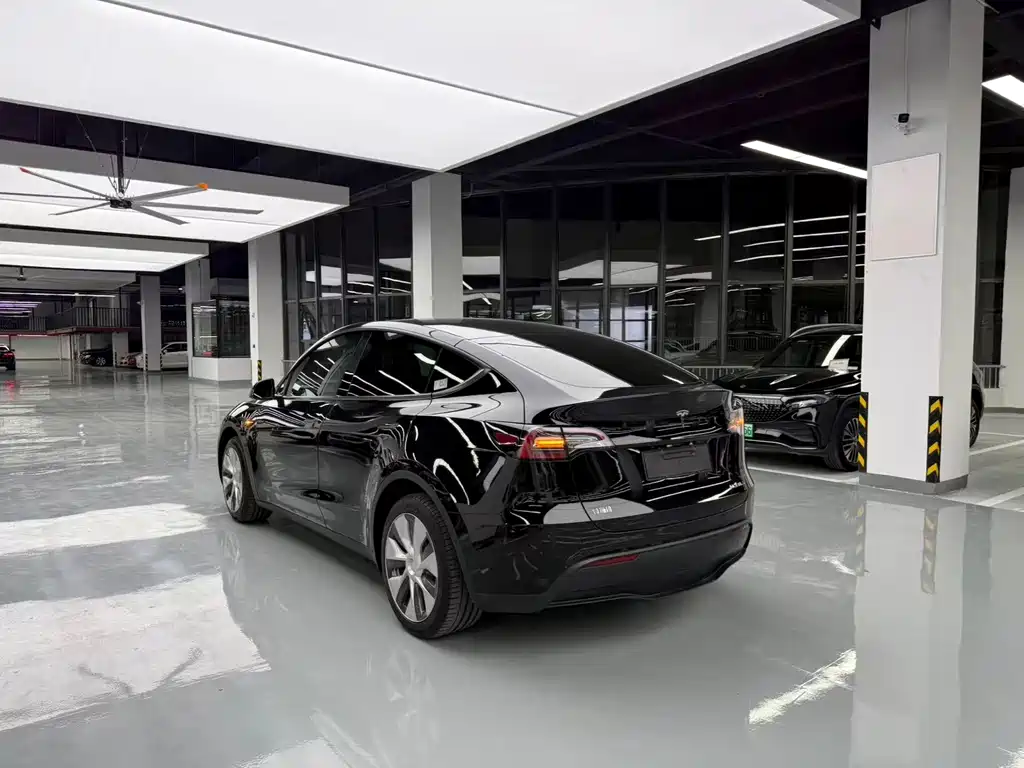 Tesla Model Y — миниатюра 14
