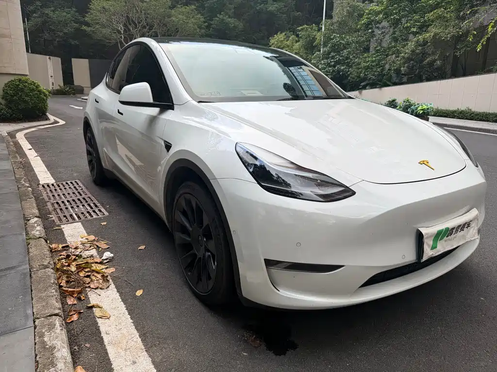 Tesla Model Y — миниатюра 3