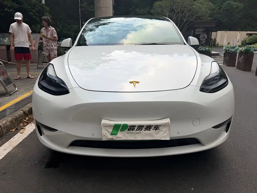 Tesla Model Y — миниатюра 9