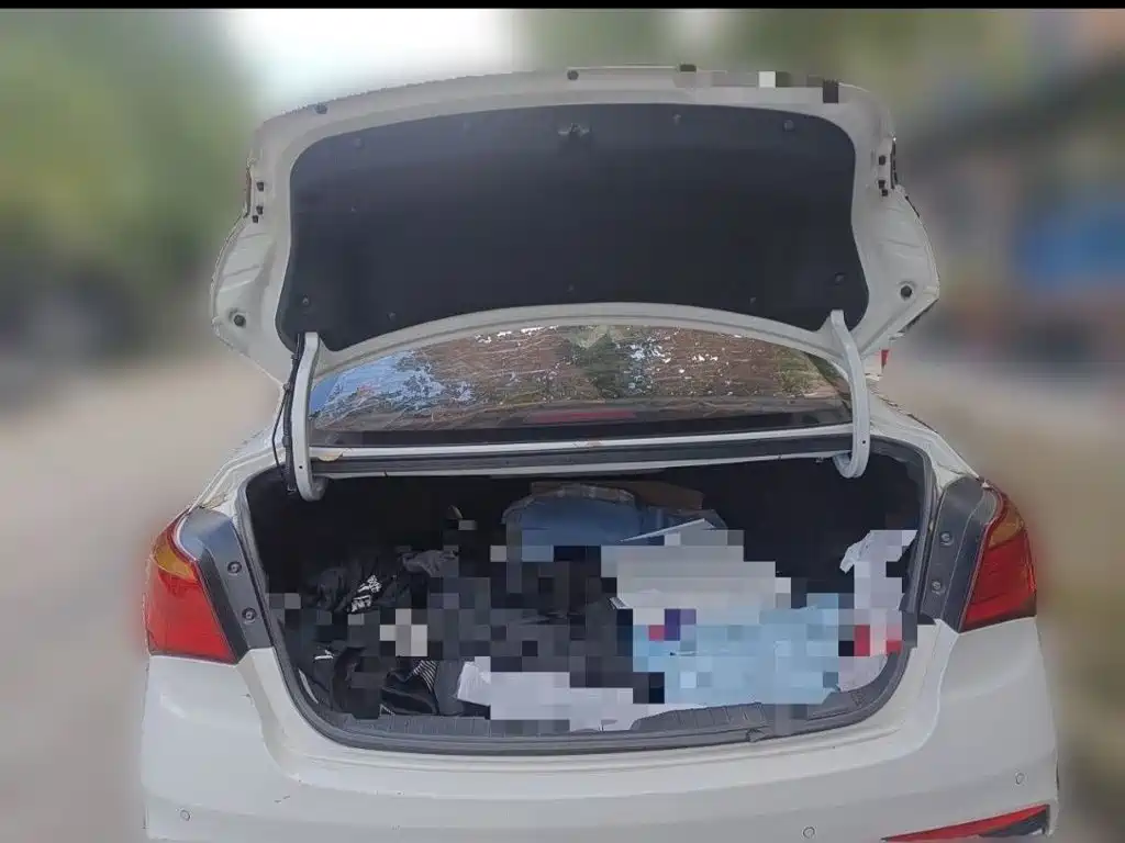 Hyundai Mistra — миниатюра 26