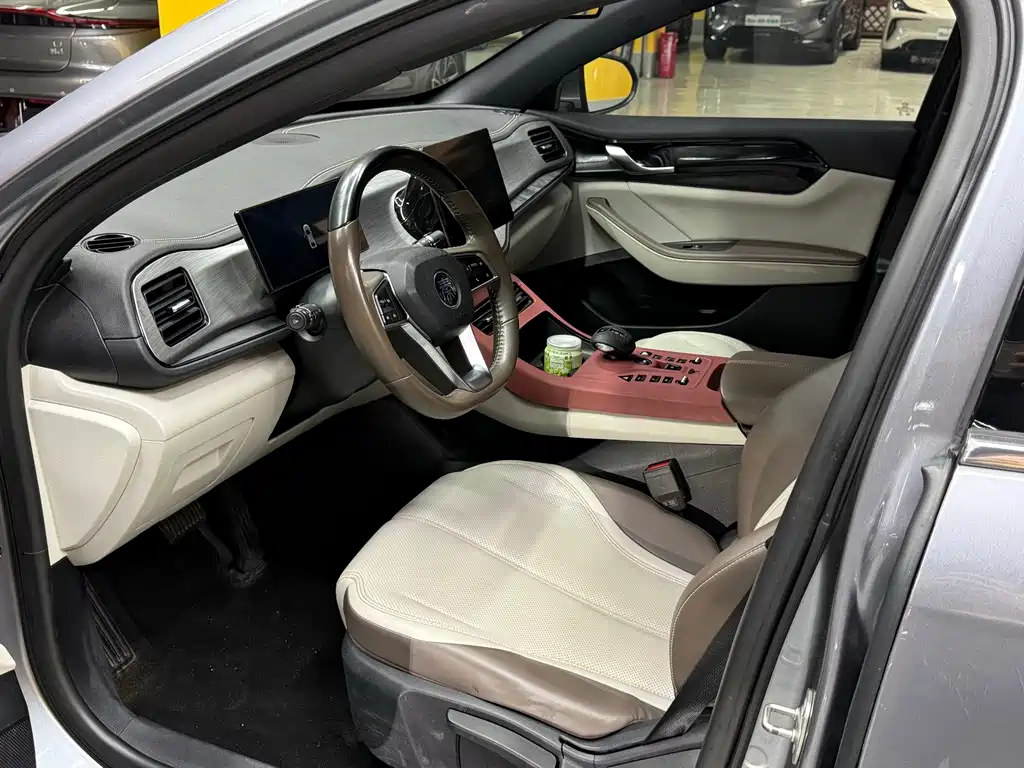 BYD Qin PLUS — миниатюра 9