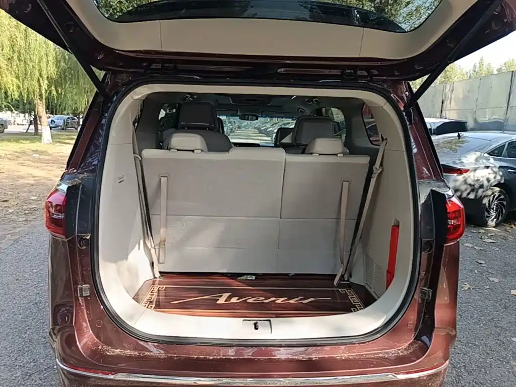 Buick GL8 — миниатюра 19
