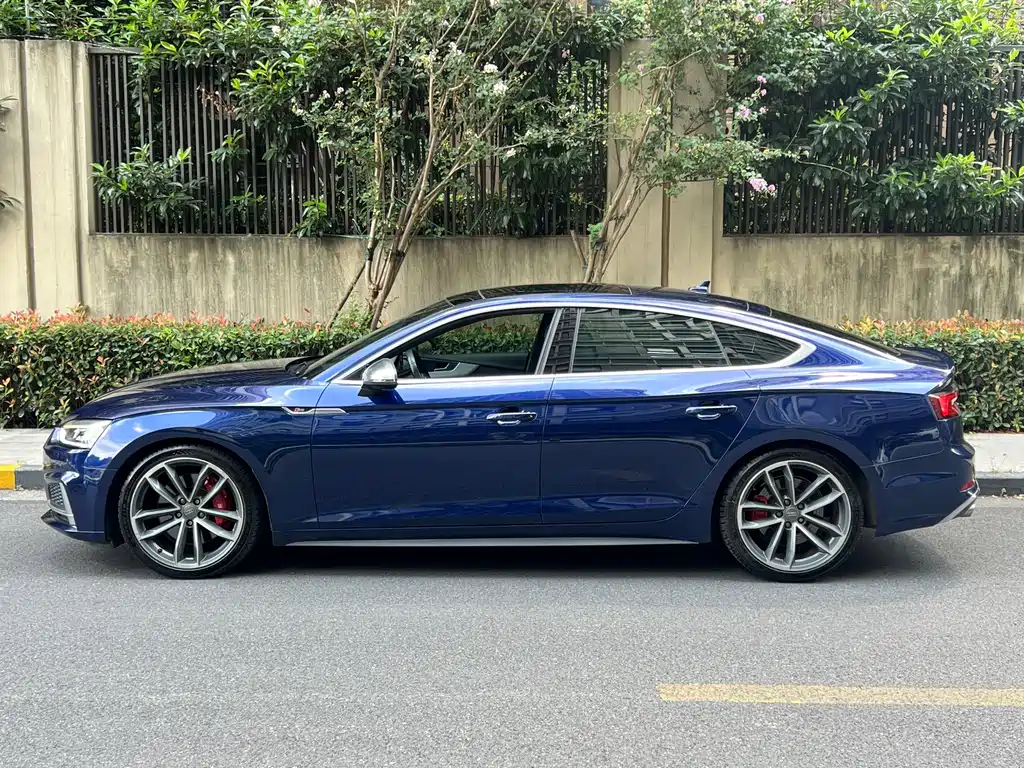 Audi S5 — миниатюра 3