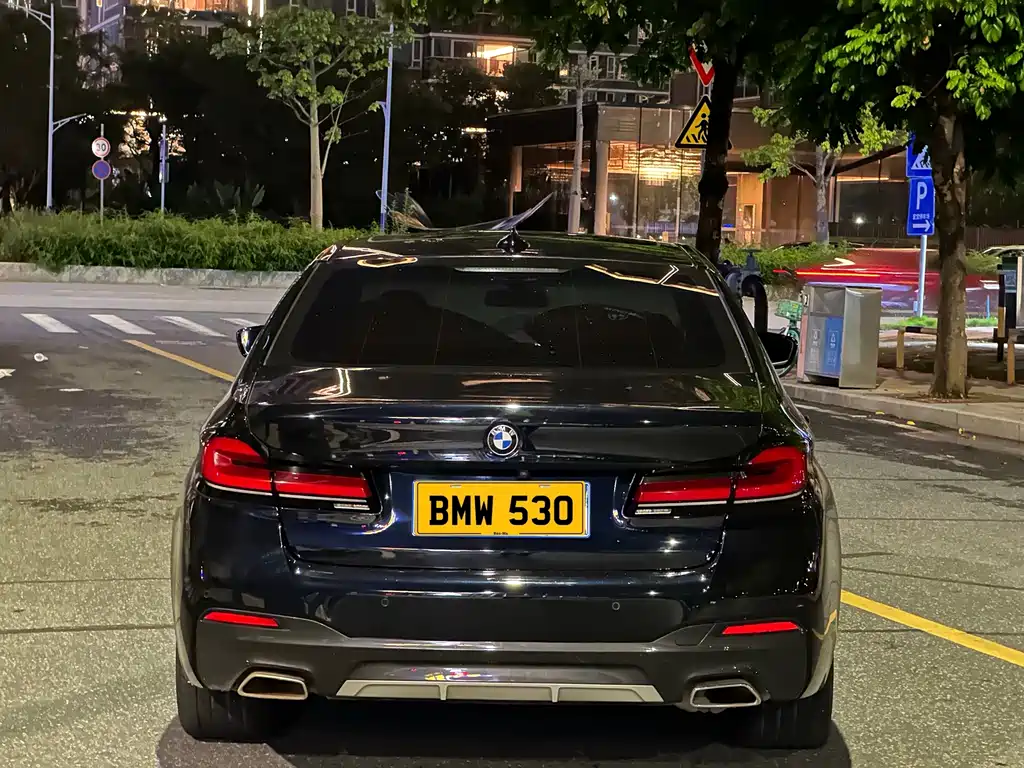 BMW 5 Series — миниатюра 4