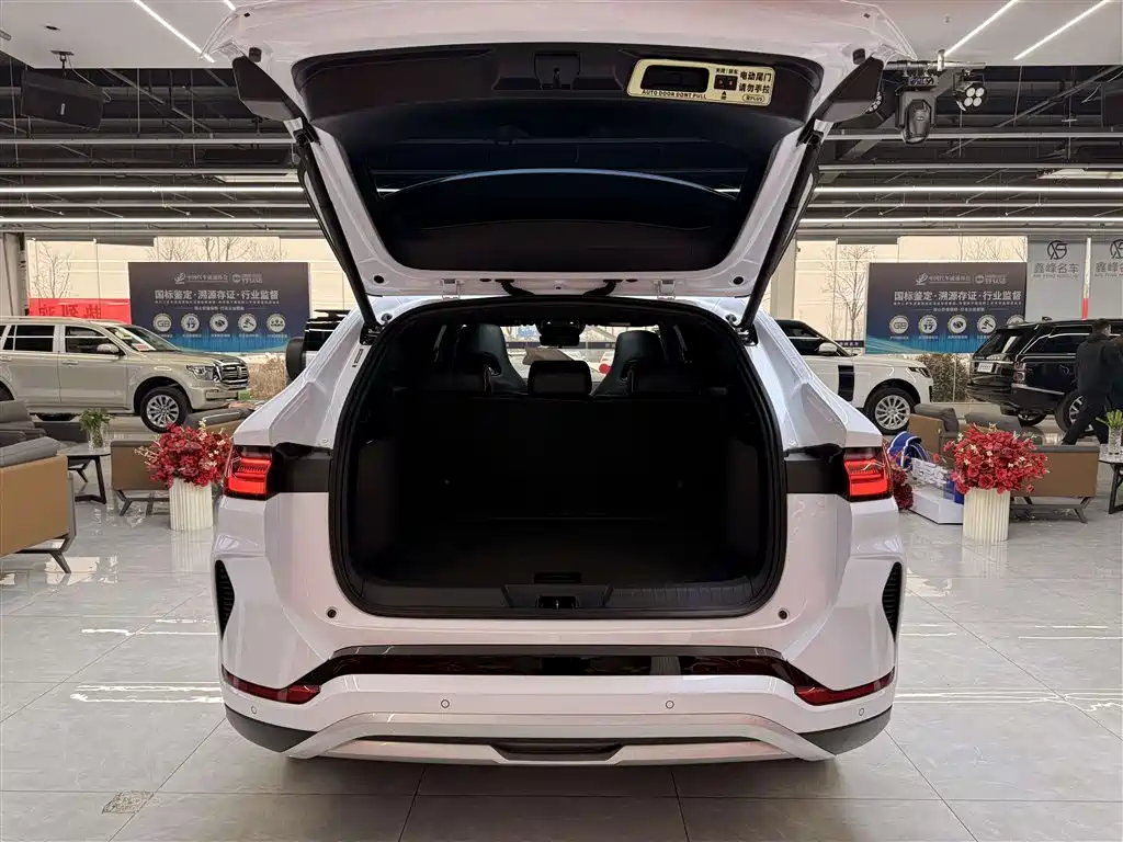 BYD SONGJIANG NEW ENERGY