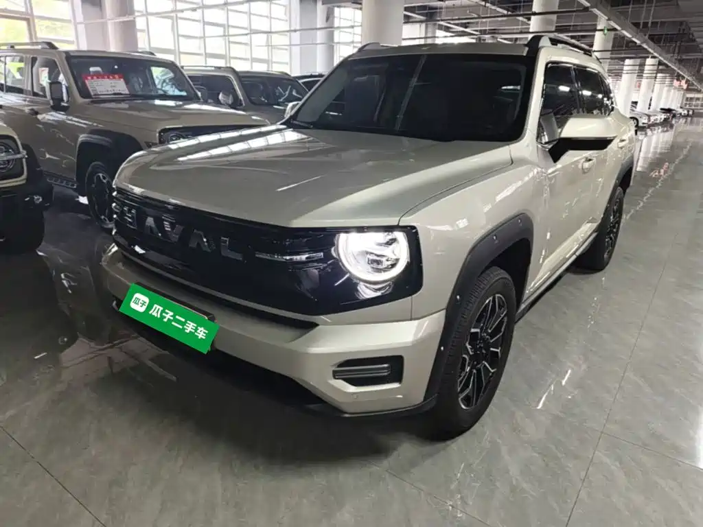 Haval Big Dog PLUS New Energy — миниатюра 2