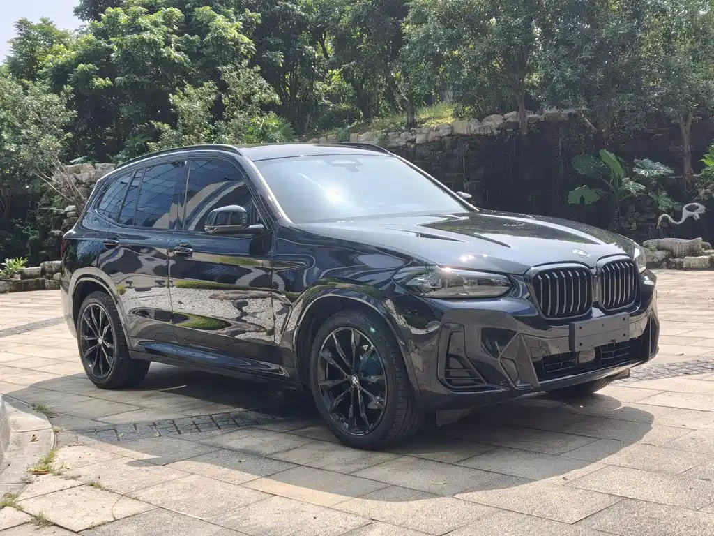 BMW X3 — миниатюра 2