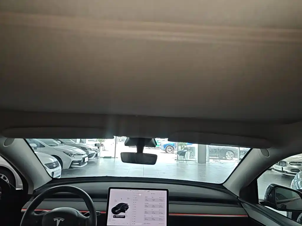 Tesla Model Y — миниатюра 18