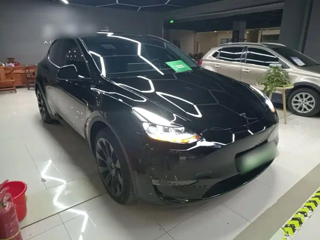 Tesla Model Y — миниатюра 4